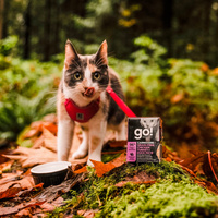 【GO! Solutions】无谷猫猫主食餐盒 - 鸡肉 & 火鸡 & 鸭肉