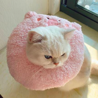 Little Animal Recovery Collar