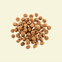 【NOW FRESH】无谷物成年犬狗粮11.3 KG