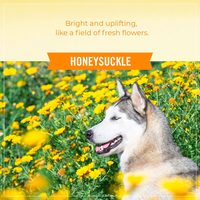 Skout‘s Honor|Probiotic Detangler - 236ml