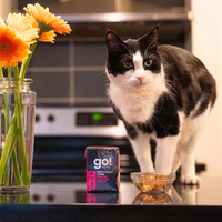 【Go! Solutions】Skin + Coat Care Pâté for Cats - Minced Chicken