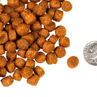 【Fromm 福摩】- 四星系列 - Game Bird 鸭肉狗粮 25 磅(无谷)