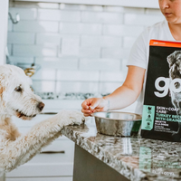 【Go! Solutions】Skin And Coat Turkey Dog 25lb