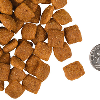 【Fromm】Gold Adult Dog Food 30lbs