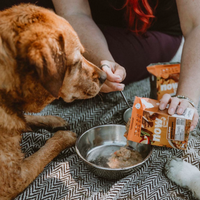 【Now Fresh】Grain Free Dog - Pork Stew 12.5oz x12