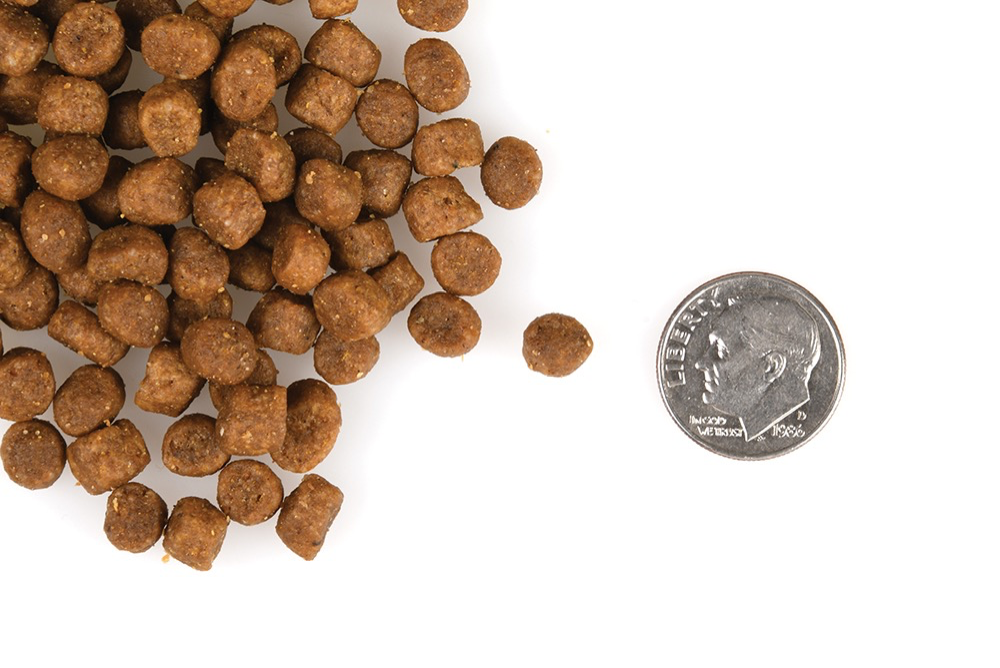 Fromm sales kibble size