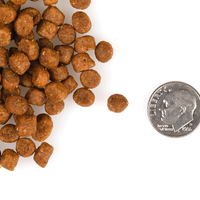 【Fromm 福摩】Gold 幼猫粮 - 4 lbs