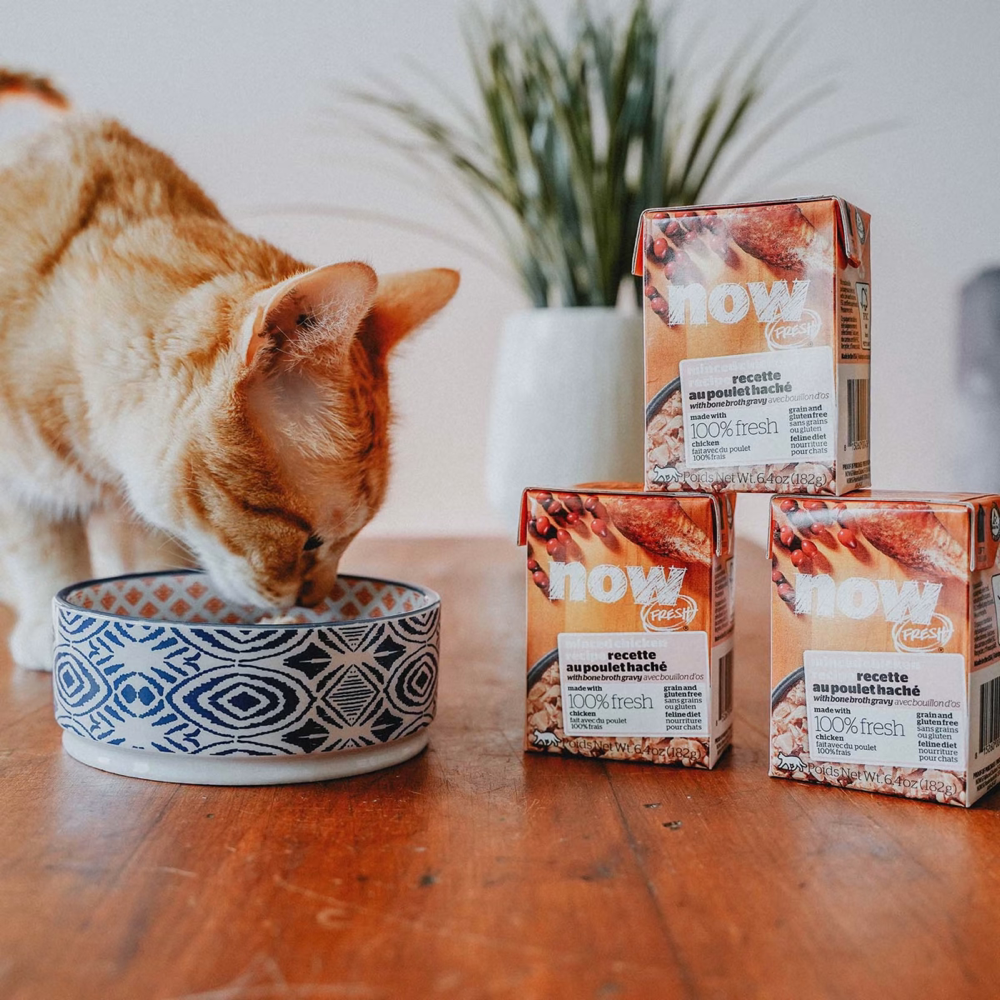 Now Fresh】Grain Free Cat Minced Chicken with Bone Broth Gravy