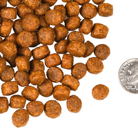 【Fromm 福摩】- 四星系列 - Beef Frittata Veg 牛肉煎饼狗粮 - 25 磅 (无谷)