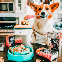 【Go! Solutions】Skin + Coat Care Pâté for Dogs - Pollock Pate 12.5oz