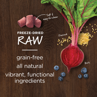 【INSTINCT - DOG】Instinct Raw Boost Mixers Immune Health 5.5oz