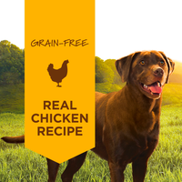 【INSTINCT - DOG】Canned Dog Food - Original Real Chicken Recipe 6 x 13.2oz