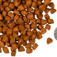 【Fromm 福摩】四星系列猫粮 - Hasen Duckenpfeffer 兔肉鸭肉 10 磅(无谷)