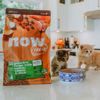 【Now Fresh】Grain Free Kitten Recipe 3lbs