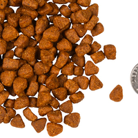 【Fromm】Four-Star Grain-Free Chicken Au Frommage Dry Cat Food 10 lbs