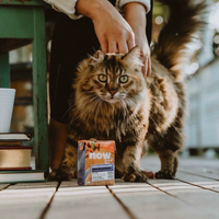 【Now Fresh】Grain Free Cat - Wild Salmon Pate with Bone Broth x24