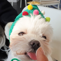 Christmas Tree Hat & Bib