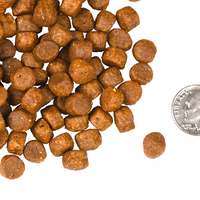 【Fromm 福摩】- 四星系列 - Surf & Turf 三文鱼鸭肉狗粮 26 磅(无谷)