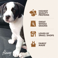 【Fromm 福摩】Gold系列(幼狗粮)大型犬配方 33 lbs