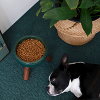 【INHERENT】Oreo Table 2系列深绿色宠物碗 - 胡桃木高架桌脚