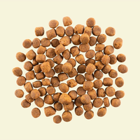 【NOW FRESH】无谷红肉成年狗粮 11.3KG