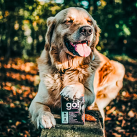 【Go! Solutions】Skin + Coat Care Pâté for Dogs - Turkey Salmon 12.5oz