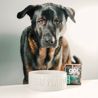 【Go! Solutions】Carnivore Grain Free Pâté for Dogs - Chicken Turkey Duck Stew 12.5oz