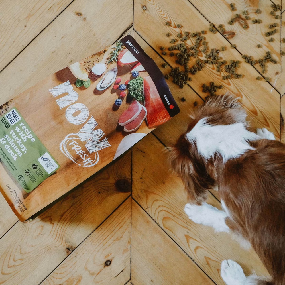 Now sales fresh senior