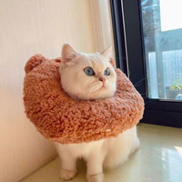 Little Animal Recovery Collar