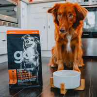【Go! Solutions】Sensitivities Lid Grain Free Venison Dog 22lb