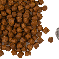 【Fromm 福摩】四星系列猫粮 - 绿福摩 10 磅 (不含谷物) / 适合肠胃敏感的猫咪