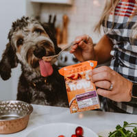 【Now Fresh】Grain Free Dog - Turkey Stew 12.5oz x12