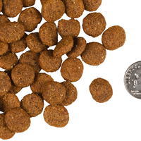 【Fromm 福摩】Gold系列狗粮 - 专为老年狗狗设计的配方 33 lbs