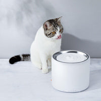 PETKIT Eversweet Smart Water Fountain Gen 3.0 - Pet Supplies - PawPawDear