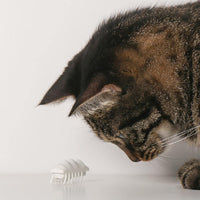 PIDAN Cat Toy Electronic Little Snow Monster - Pet Supplies - PawPawDear