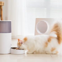 【INSTACHEW】Purebite宠物喂食器