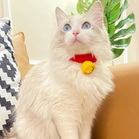 Doraemon Adjustable Wool Bell Collar