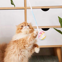 Cat's Favourite! Rolling Ball Cat Toy