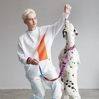 【MAOGOUBLUE】狗狗牵引套装 - 缤纷糖果