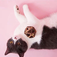 【EVERCUTE同萌会】猫薄荷木天蓼玲珑球玩具