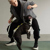 【MAOGOUBLUE】Self-unwinding Dog Leash Set - Lemon