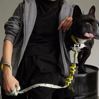 【MAOGOUBLUE】Self-unwinding Dog Leash Set - Lemon