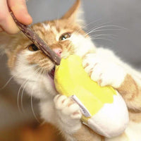 Ice Cream Silvervine Cat Toy - Pet Supplies - PawPawDear