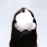 PIDAN Easy to Use Paw Cleaning Foam - Pet Supplies - PawPawDear