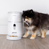 【INSTACHEW】Purechew Smart Automatic Pet Feeder with HD Camera