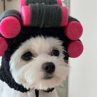 Curls Perm Pet Hat