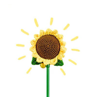 Catnip Sunflower Cat Teaser - Pet Supplies - PawPawDear