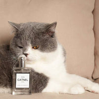 【Clearance】Catnel N°6 Catnip “Perfume” Cat Toy