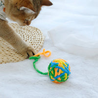 Cat's Favourite! Rolling Ball Cat Toy