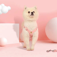 【Clearance】Adjustable Comfy Pet Harness Set